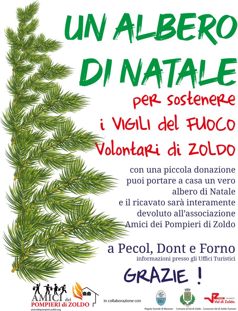 Alberi di Natale!